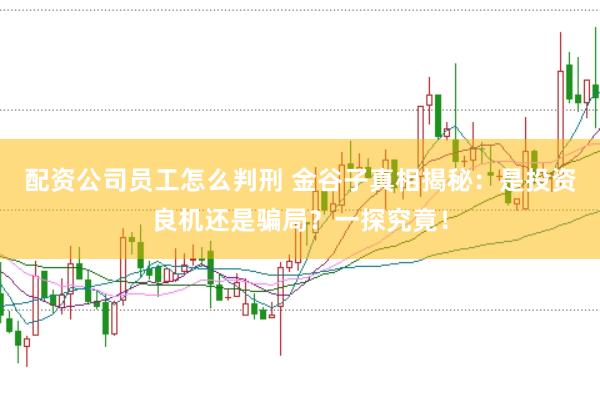 配资公司员工怎么判刑 金谷子真相揭秘：是投资良机还是骗局？一探究竟！