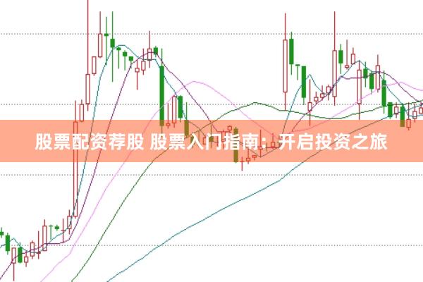 股票配资荐股 股票入门指南：开启投资之旅